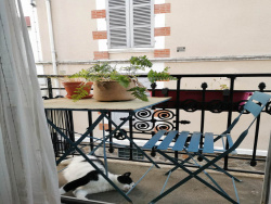 appartement-1er