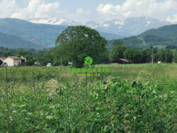 vue-sur-les-pyrenees