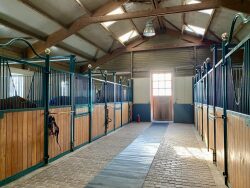 manege-40m-x-20m-