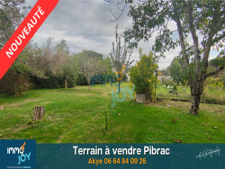 terrain-a-vendre-pibrac