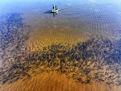 lac-de-leon---tonne-de-chasse