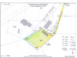 terrain-languidic