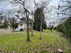 vue-depuis-le-fond-du-jardin