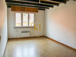 maison-a-vendre-freland-klimmo-colmar-